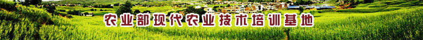 ylzzcom永利总站