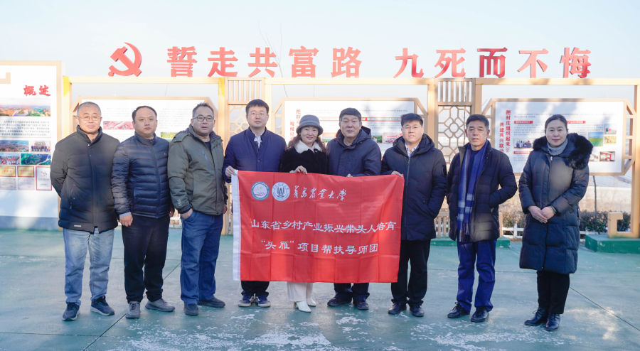 ylzzcom永利总站