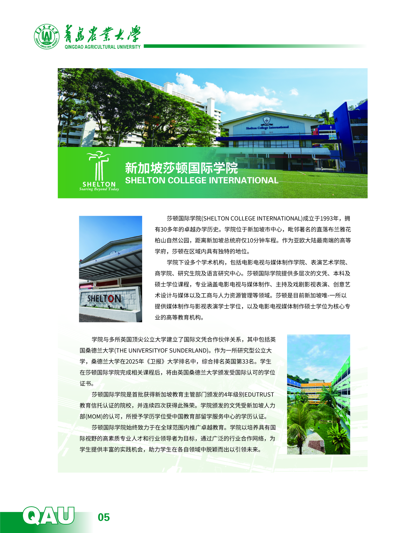 ylzzcom永利总站